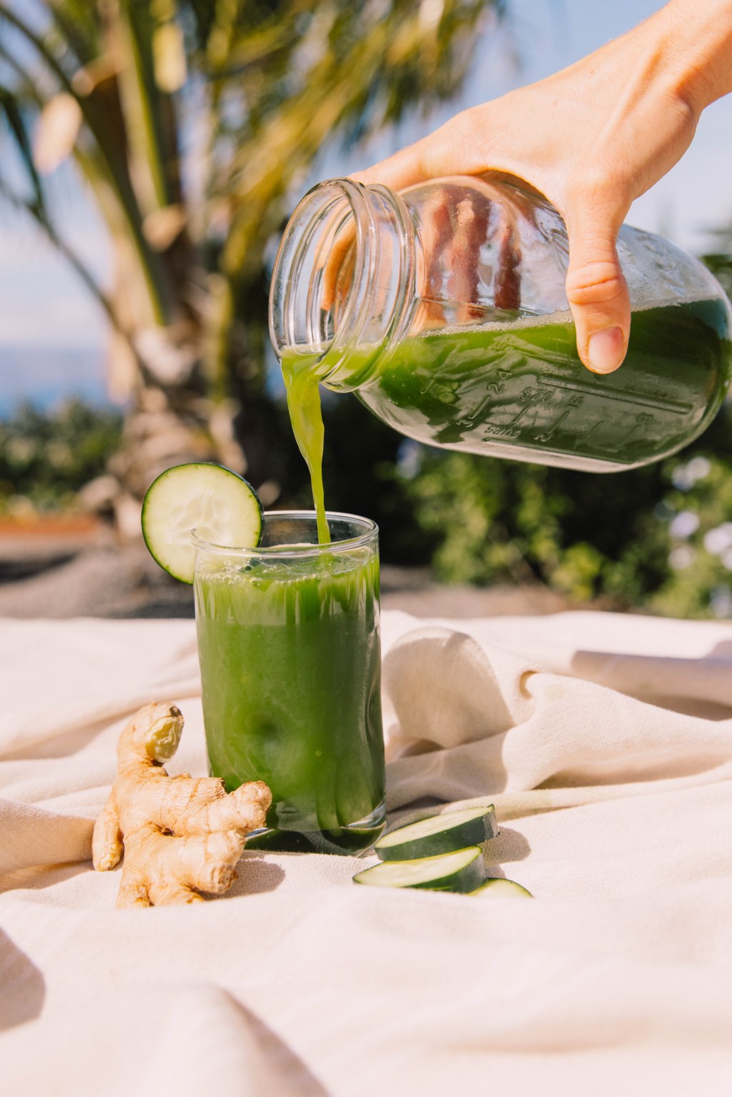 Blender Green Juice