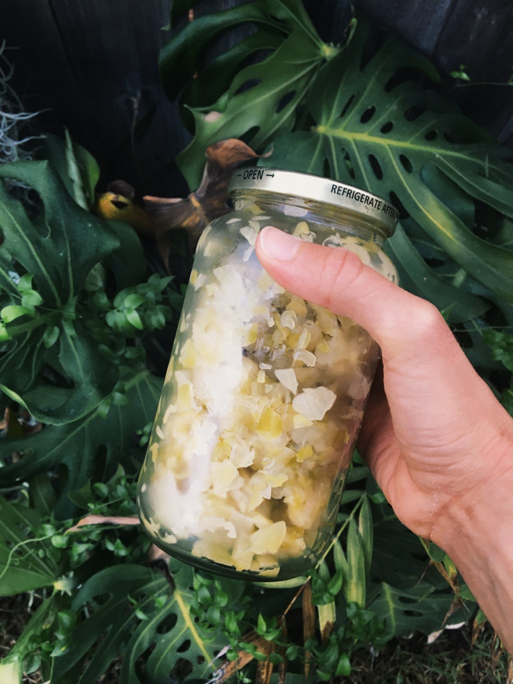 How to Make:&nbsp;Sauerkraut