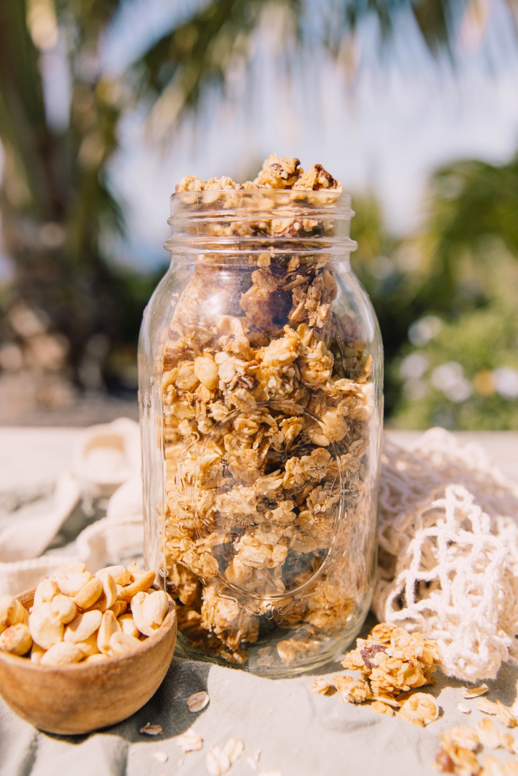 Coconut Chocolate Chunk&nbsp;Granola