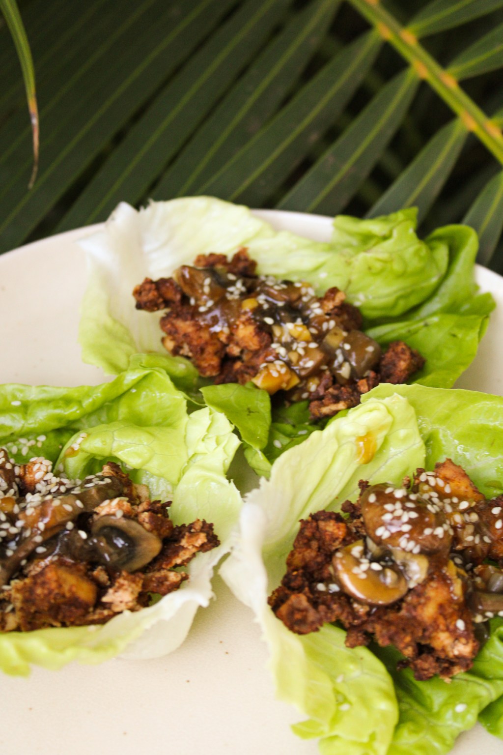 Vegan Lettuce Wraps