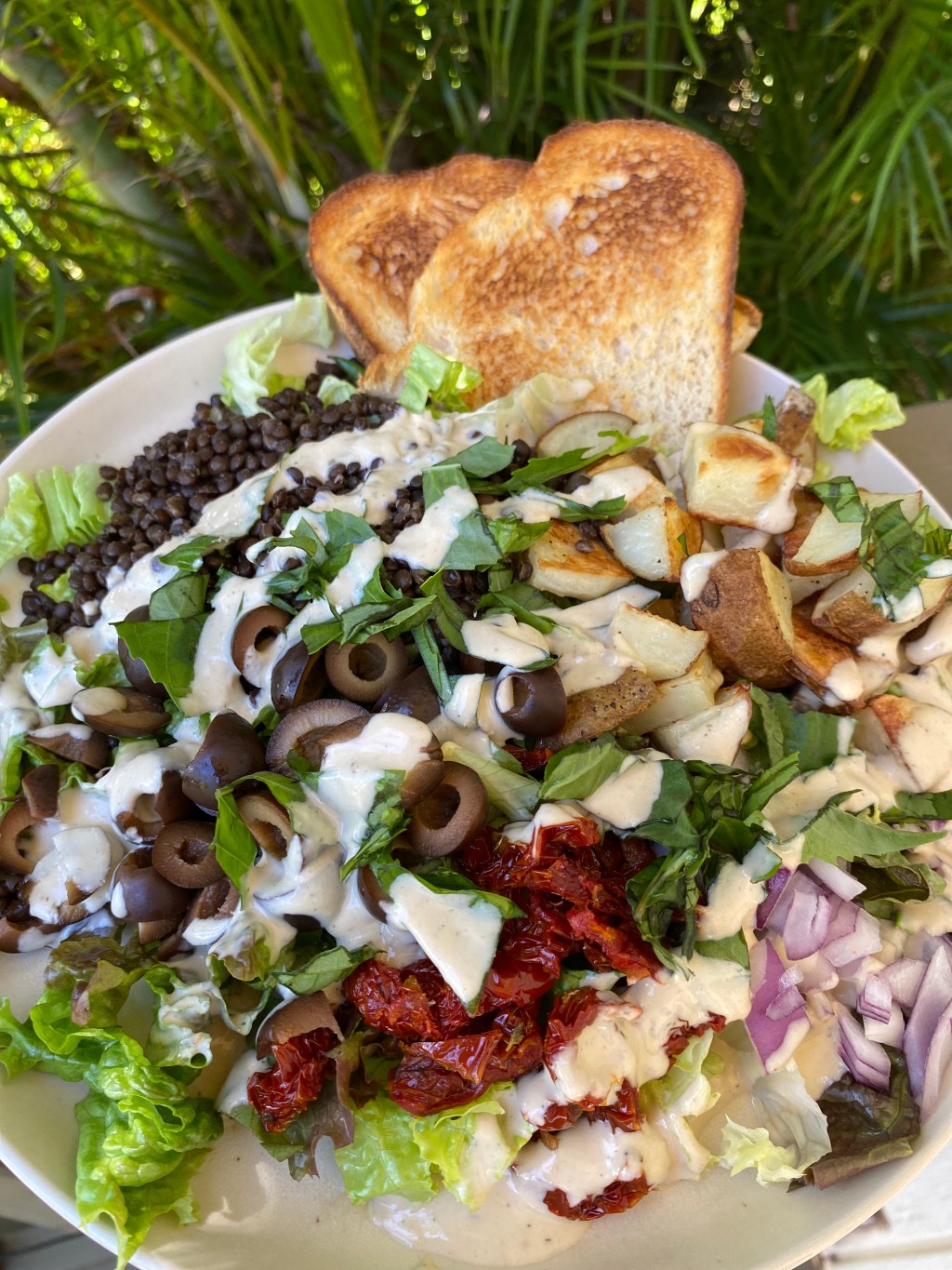 Black Lentil Salad