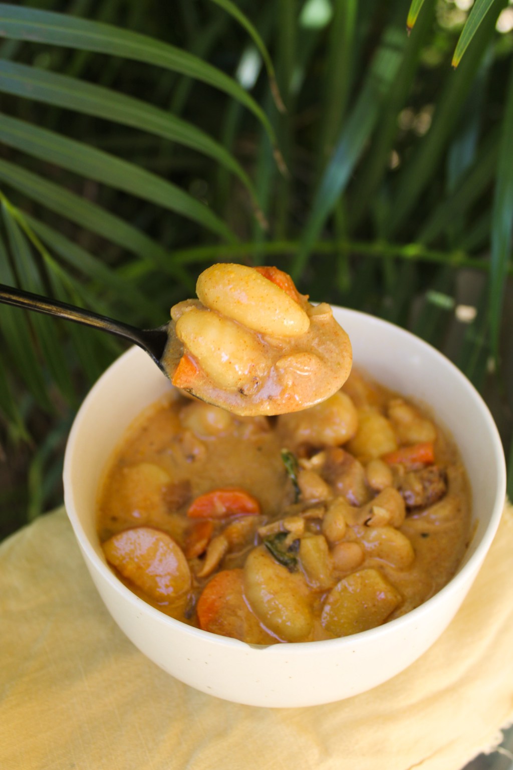 Gnocchi Soup