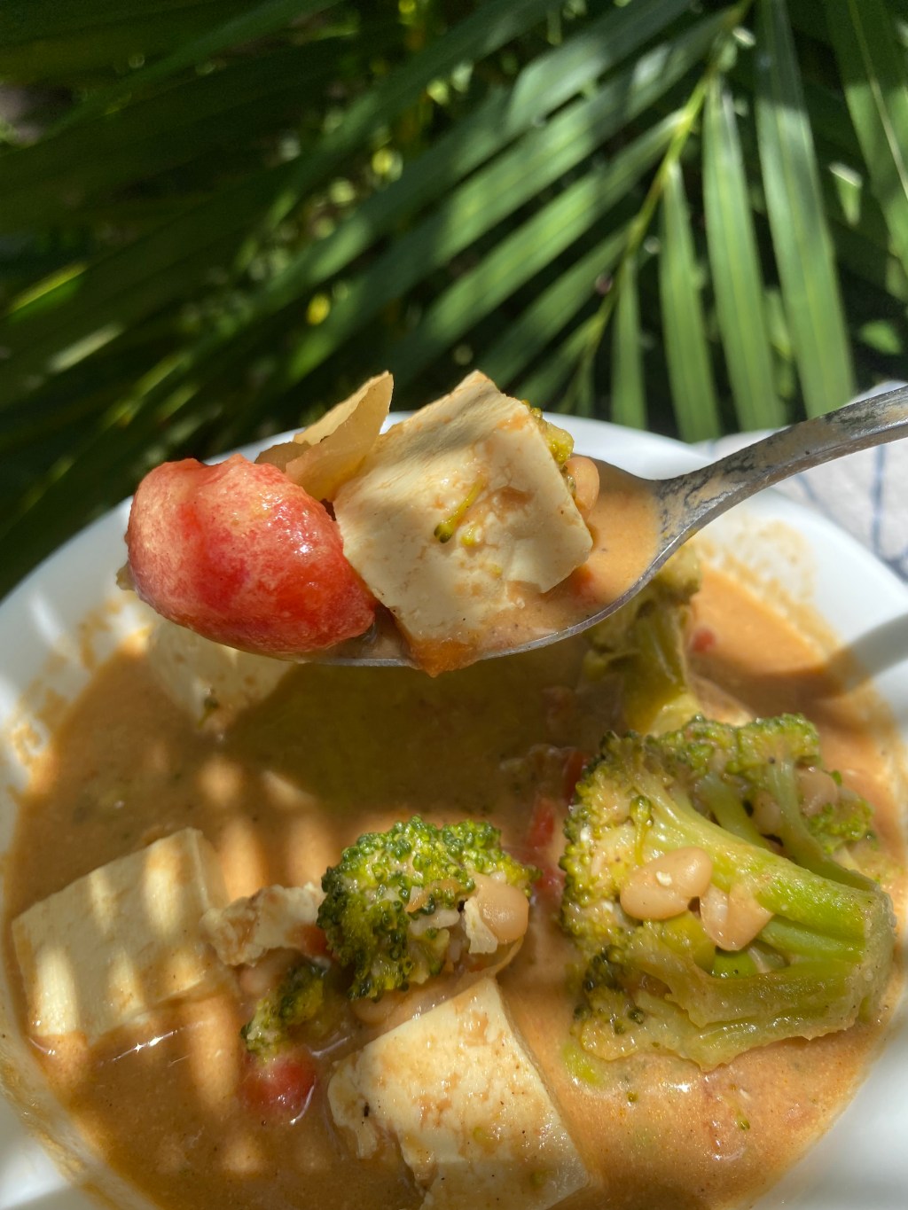 Curry Soup