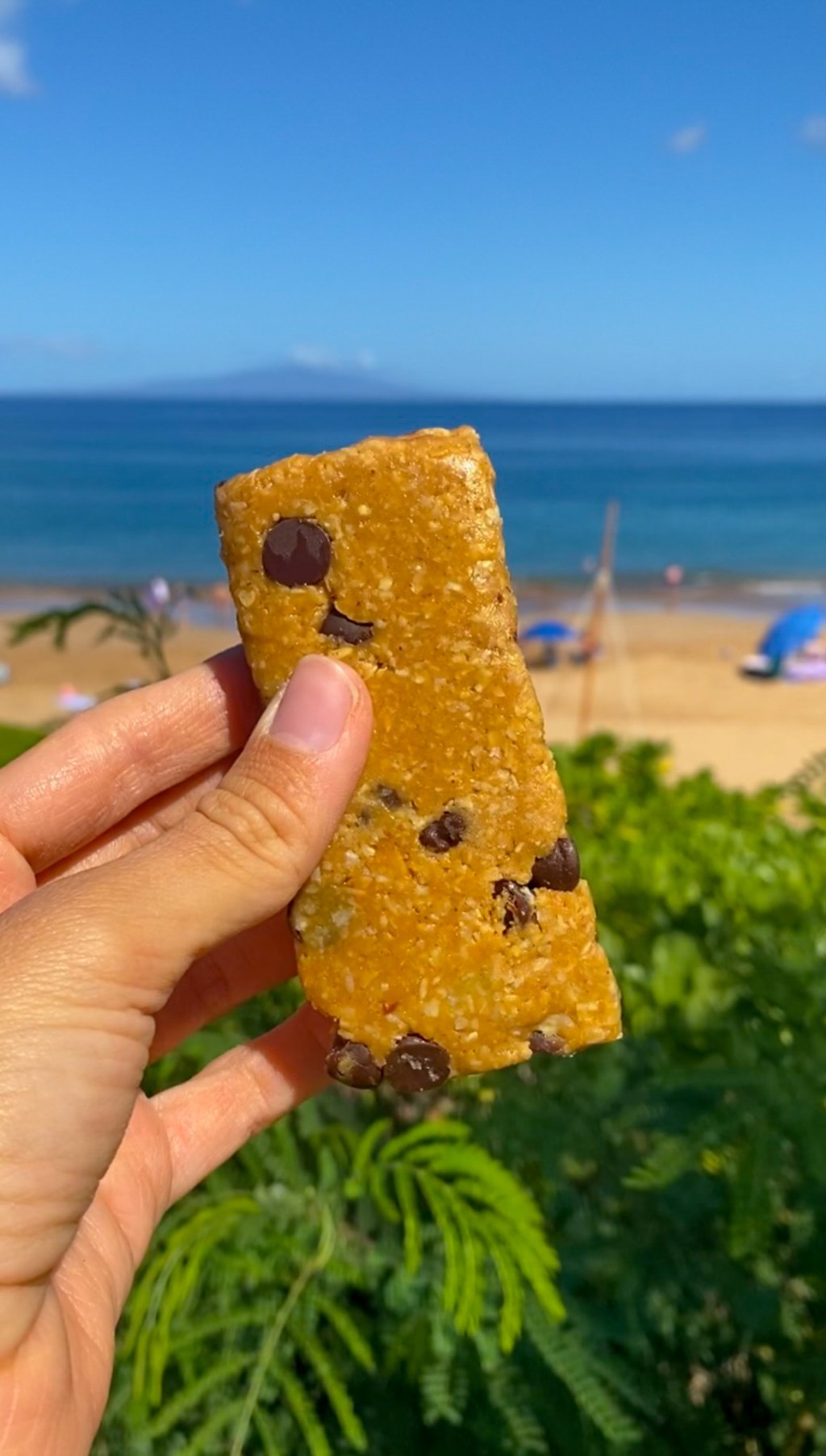 3 Ingredient Peanut Butter Protein Bars